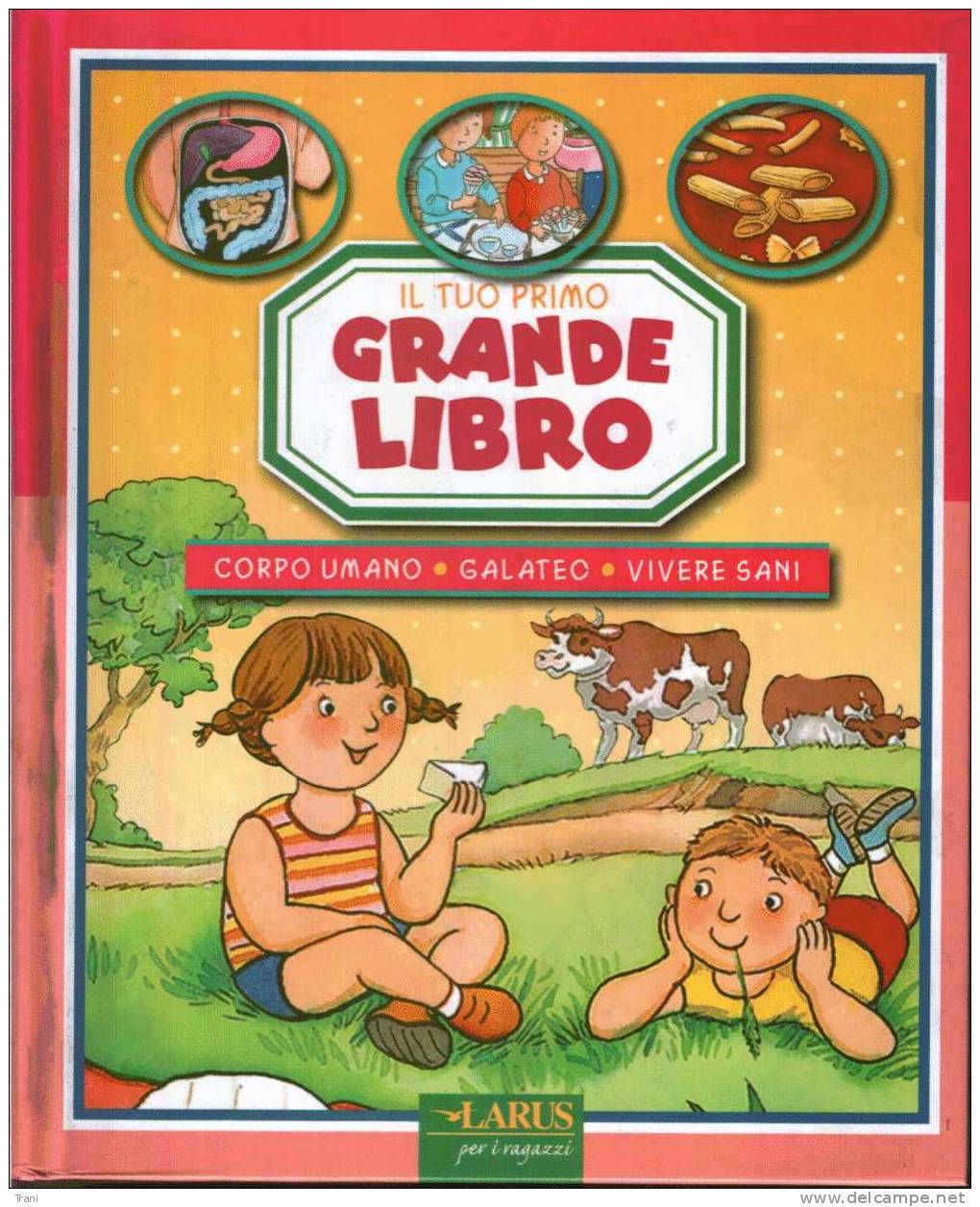 CORPO UMANO - GALATEO - VIVERE SANI - Enfants Et Adolescents