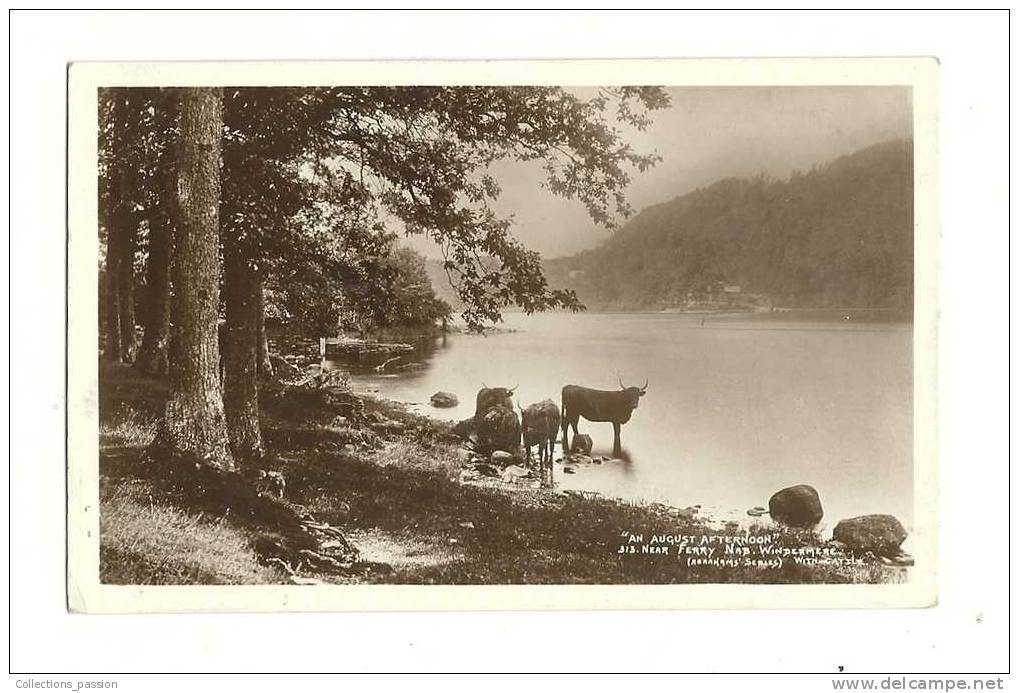 Cp, Angleterre, Near Ferry Nab, Windermere, An August Afternoon, Voyagée 1912 - Autres & Non Classés