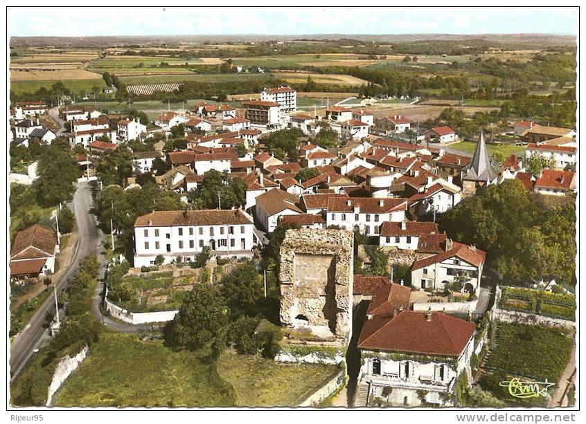 65 CASTELNAU RIVIERE BASSE  - Vue Generale Aerienne - Castelnau Riviere Basse