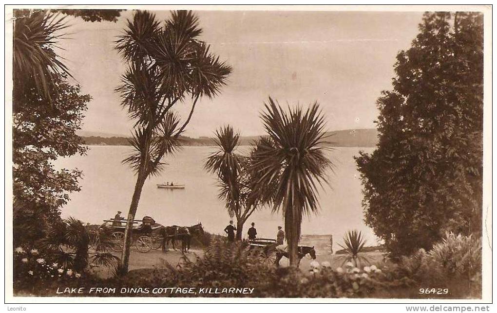 Lake From Dinas Cottage Killarney 1950 - Kerry