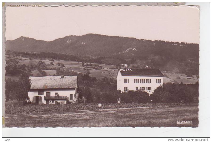 74.055/ BONNE SUR MENOGE - Hôtel Du Val Des Roses Et Les Voirons (cpsm) - Bonne