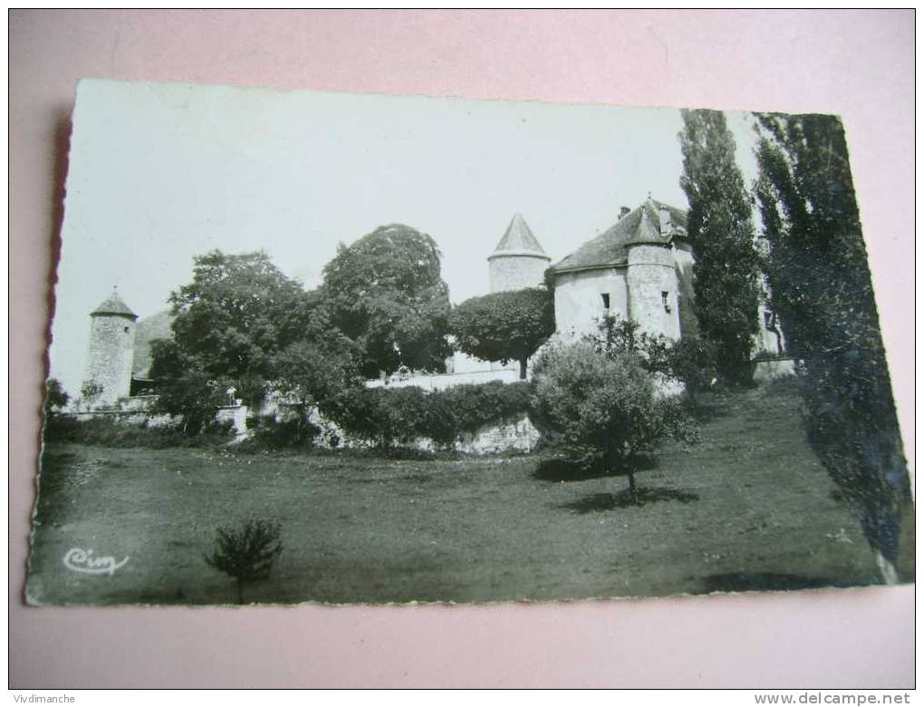 74 - DESINGY - 6 - PELLY - LE CHATEAU - CPSM FORMAT CPA CARTE PHOTO BON ETAT - Autres & Non Classés