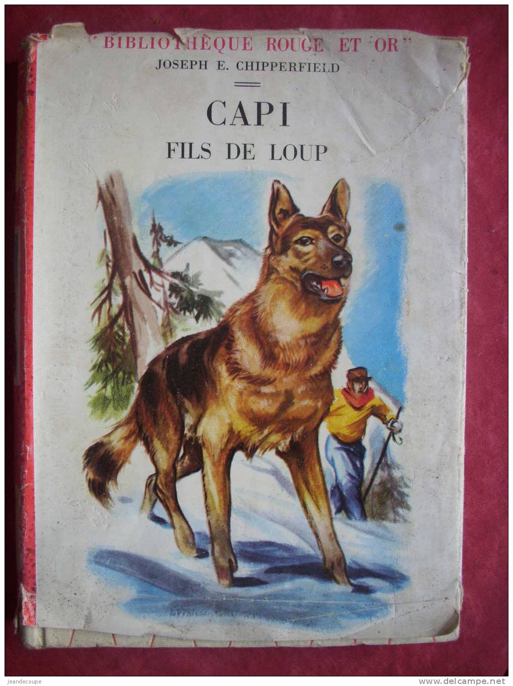 CAPI FILS DE LOUP - JOSEPH E . CHIPPERFIELD - Illustrations : HENRI DIMPRE - 1958 - Bibliothèque Rouge Et Or