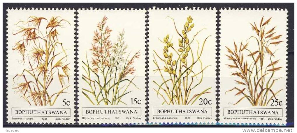 #RSA/Bophutatswana 1981. Plants: Grasses. Michel 80-83. MNH(**) - Bophuthatswana