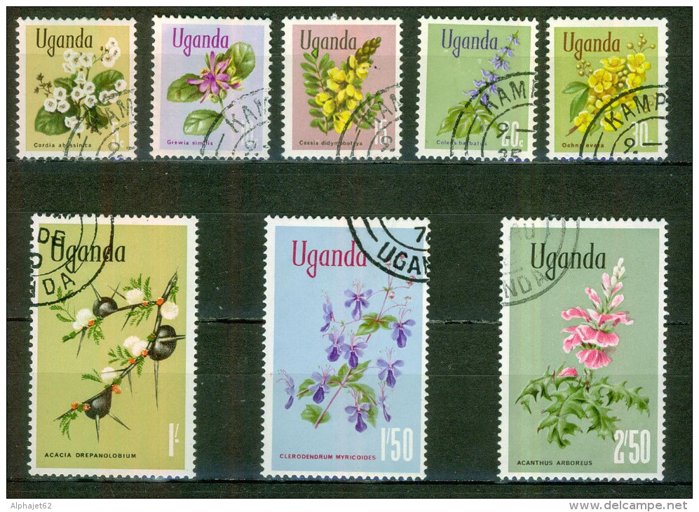 Flore - Fleurs Diverses - OUGANDA - Coleus Barbatus - Acacia - N° 82-83-84-85-86-91-92-93 - 1969 - Ouganda (1962-...)