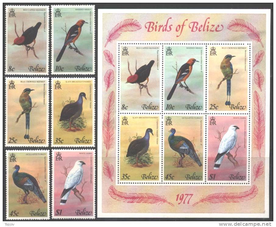 BELIZE - BIRDS OF BELIZE - PAJAROS DE BELIZE  - SET + SS - MNH - 1987. - Belize (1973-...)