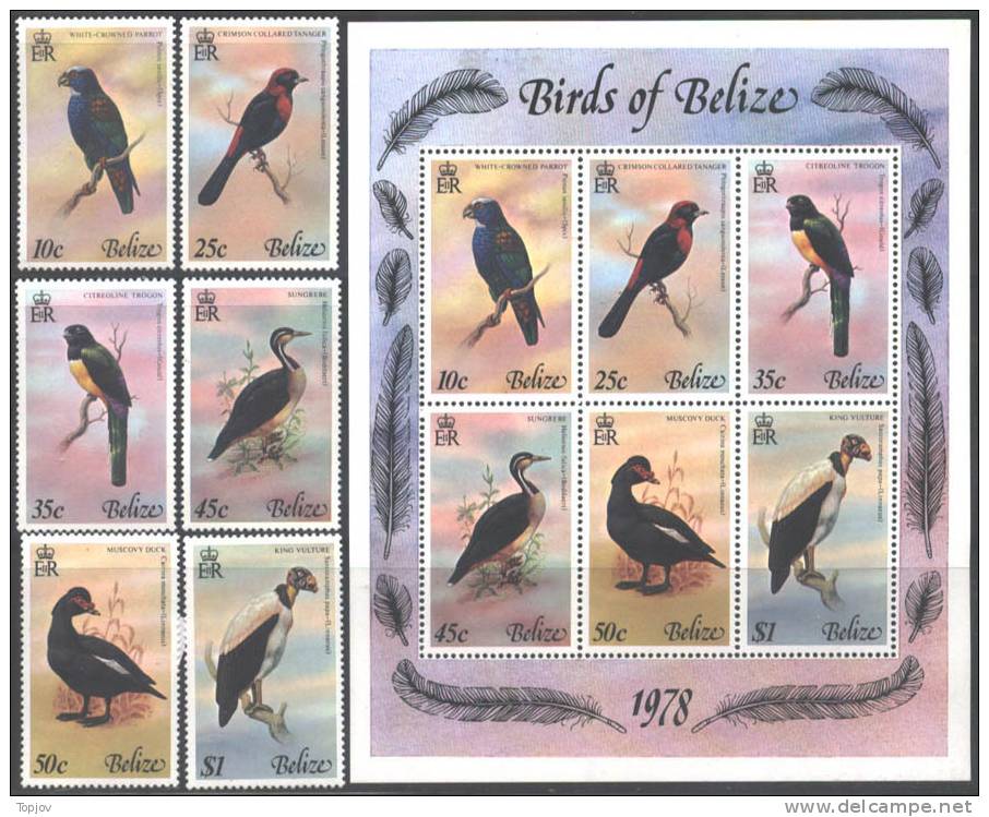 BELIZE - BIRDS OF BELIZE - PAJAROS DE BELIZE  2  - SET + SS - MNH - 1988. - Belize (1973-...)