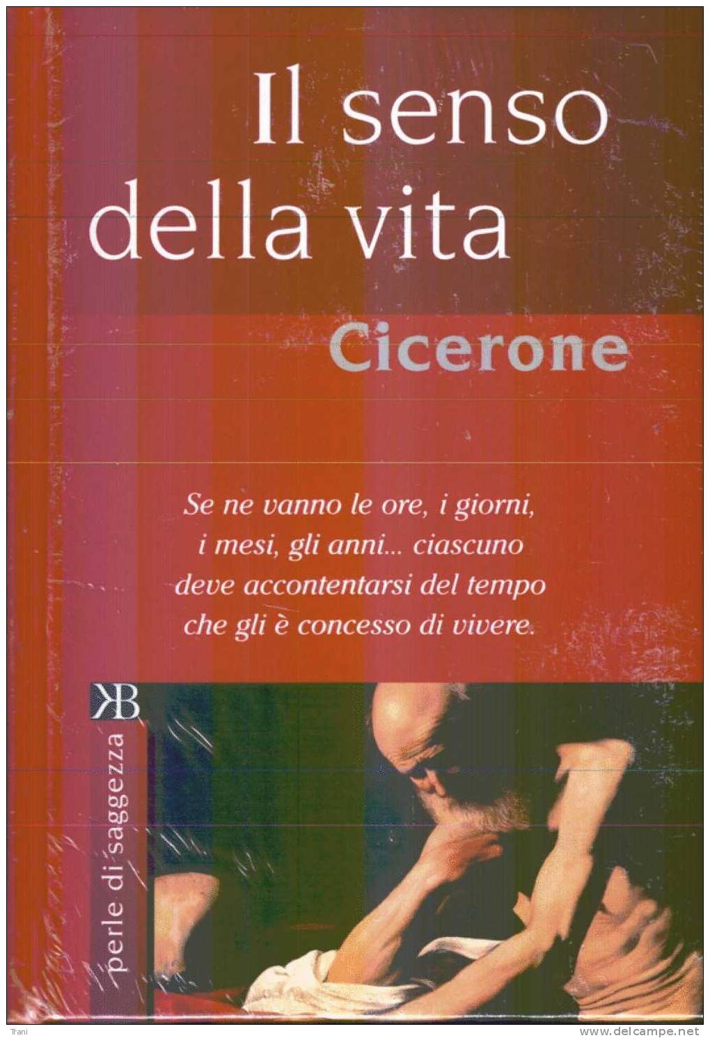 IL SENSO DELLA VITA - (Cicerone) - Société, Politique, économie