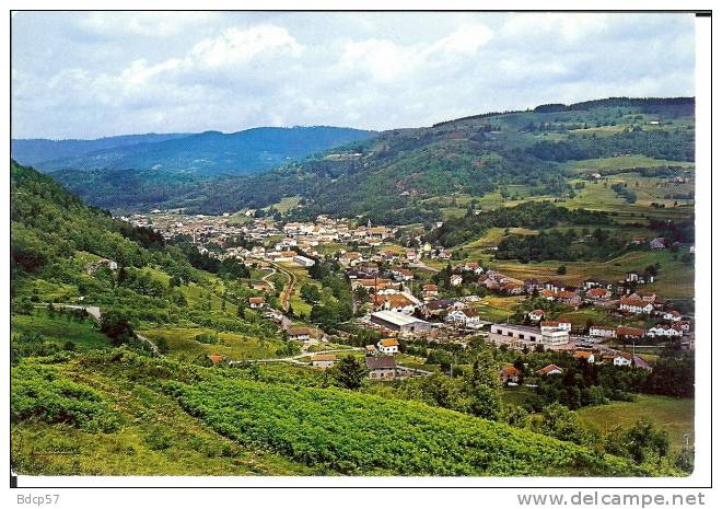 88 - VOSGES - FRESSE Sur MOSELLE - Vue Générale - En Premier Plan : La HARDOYE  - 10,3 X 15 - Fresse Sur Moselle