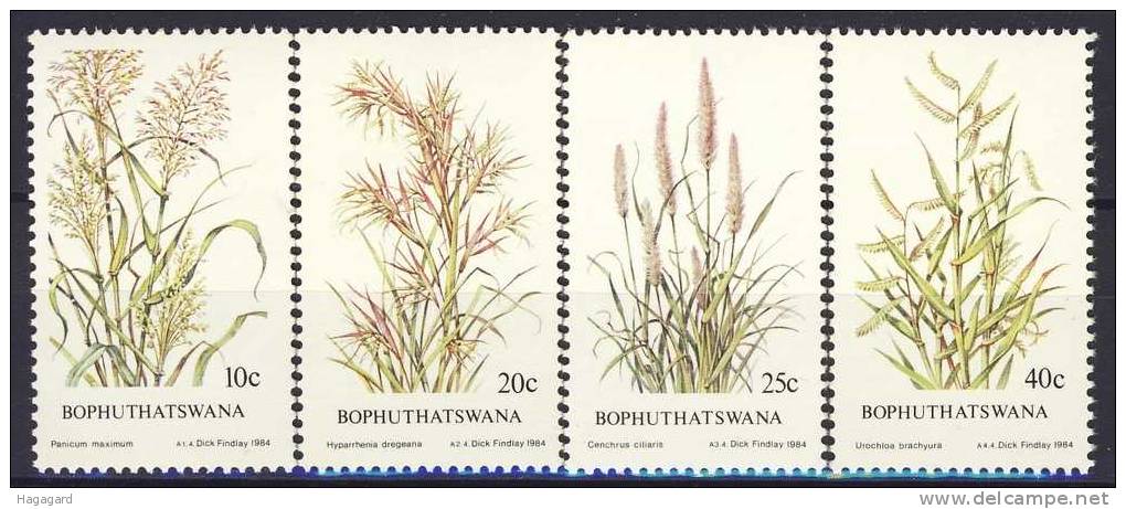 #RSA/Bophutatswana 1984. Plants: Grasses. Michel 116-19. MNH(**) - Bophuthatswana