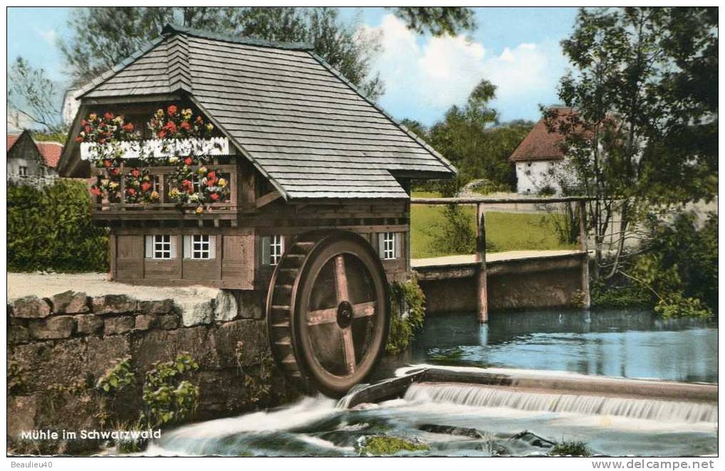 ALLEMAGNE- MÜHLE IM SCHWARZWALD - Watermolens