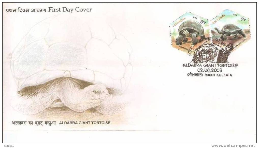 Tortoise,turtle, Pictorial Postmark,india - Tortues