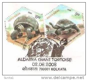 Tortoise,turtle, Pictorial Postmark,india - Tortues