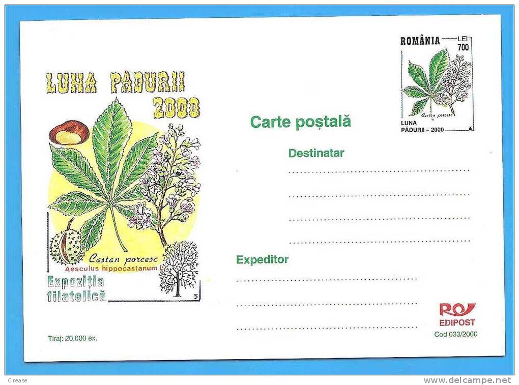 Chestnut. Forest Month ROMANIA Postal Stationery Postcard 2000 - Bäume