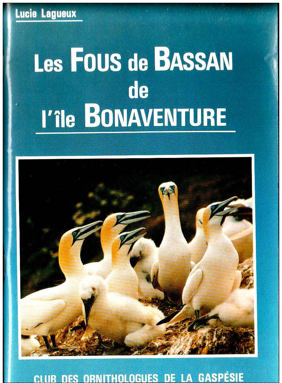 Lucie Lagueux LES FOUS DE BASSAN DE L'ÎLE BONAVENTURE Ed. Club Des Ornithologues De La Gaspésie S.d. - Animaux