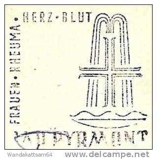 AK 313 BAD PYRMONT Deutschlands Schönster Kurpark Hylliger Born 20. 5. 60.  - 21 (21a)  BAD PYRMONT 1 Bb Werbestempel - Bad Pyrmont