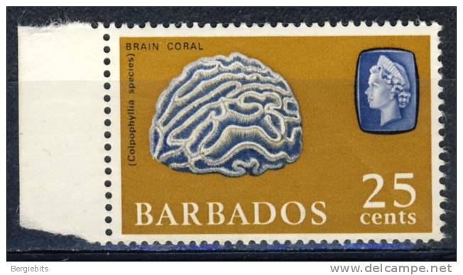 Barbados 1  MNH   25 Cents  Stamp With Brain Coral - Barbados (1966-...)