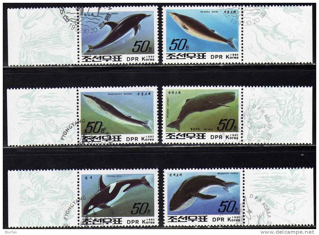 WWF Wale Korea 3354/59 Plus 2 Kleinbogen O 8€ Delphin Finnwal Schwertwal Baird-Wal Pottwal Sheetlet From Corea - Corea (...-1945)