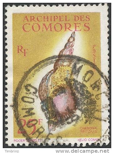 COMORES 1962 - Yv. 24 Obl.  Cote= 16,00 EUR - Coquillage Charonia Tritonis ..Réf.AFA10366 - Used Stamps