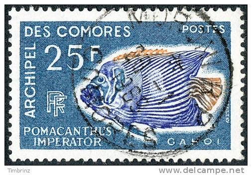 COMORES 1968 - Yv. 48 Obl.  Cote= 5,00 EUR - Poisson Pomacanthus Imperator ..Réf.AFA10389 - Used Stamps