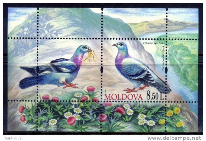 MOLDAVIA MOLDOVA / FAUNA AVES Birds Vögel / C2636 - Otros & Sin Clasificación
