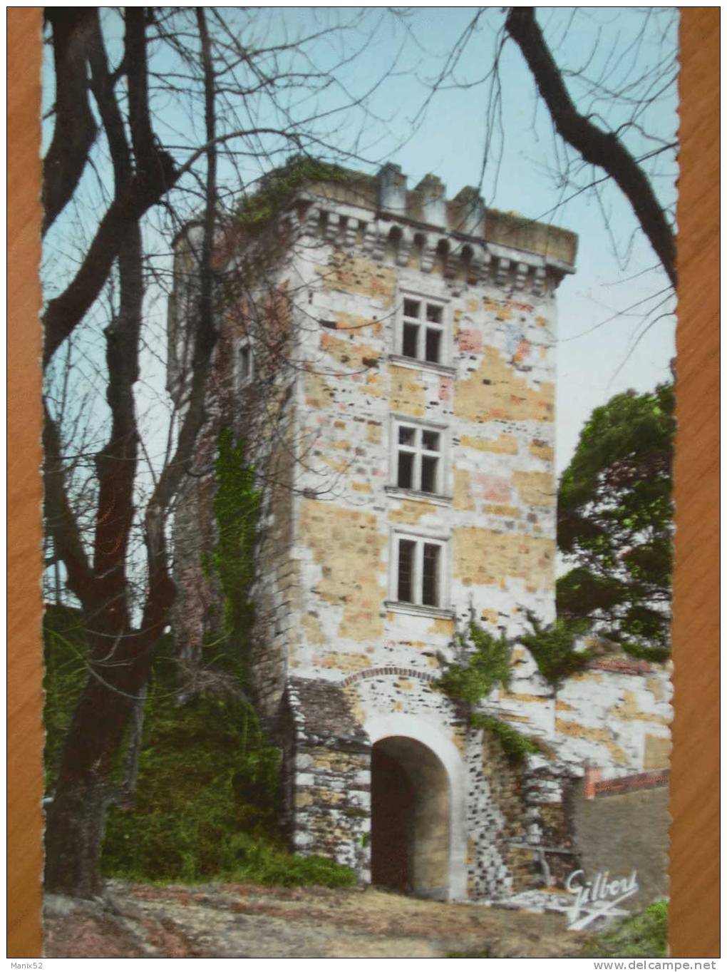 17 - MONTENDRE - Restes Du Vieux Château - Le Donjon. (CPSM) - Montendre