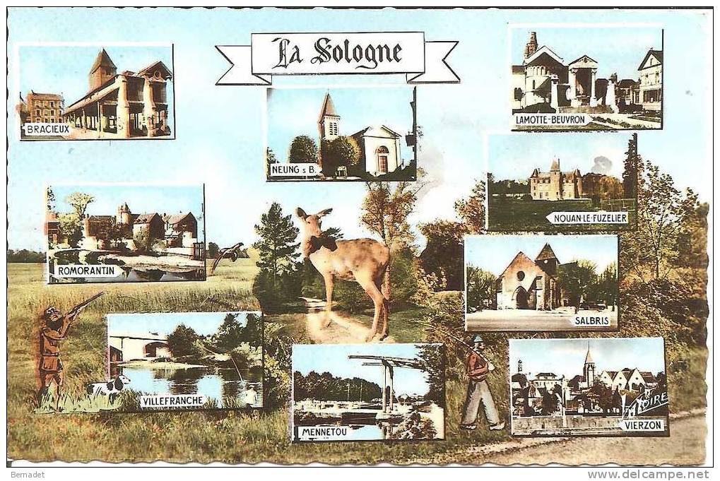 LA SOLOGNE .. ROMORANTIN. BRACIEUX . SALBRIS . VIERZON .  LAMOTTE BEUVRON . - Centre-Val De Loire