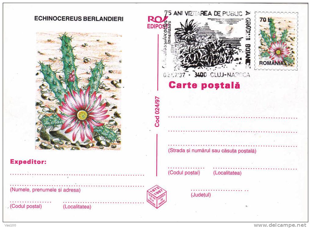 Cactusses,cactus1997 Entier Postal,postcard Obliteration Concordante Romania. - Cactus