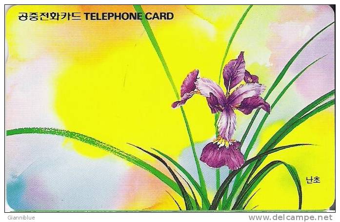 Iris/Flower/Fleur - Korea Phonecard - Flowers