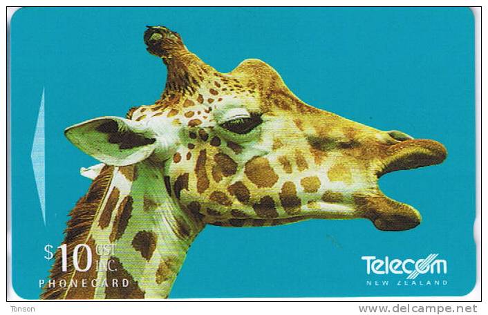 New Zealand, NZ-G-124, Call Of The Wild, Giraffe. - New Zealand