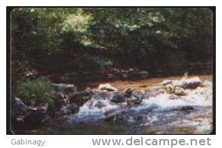 ROMANIA 154 - FOREST WITH RIVER - Roumanie