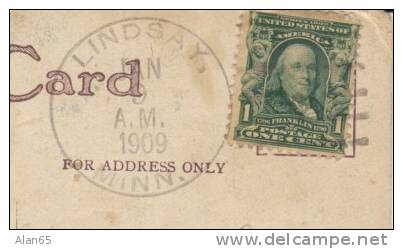 Lindsay Minnesota (Polk County) MN DPO-4 Postmark Cancel On Postcard Children On Horse - Storia Postale
