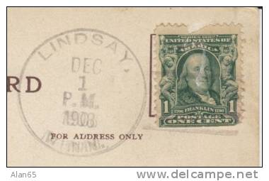 Lindsay Minnesota (Polk County) MN DPO-4 Postmark Cancel 1 December 1908 On Postcard - Poststempel