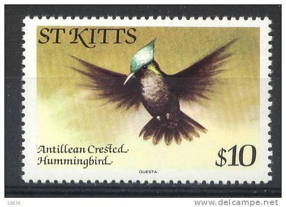 St. KITS 1981 MNH**- Bird - Colibríes