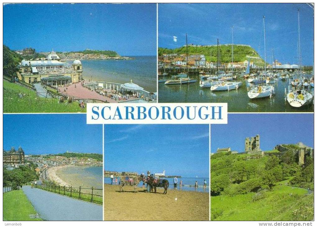 Britain - United Kingdom - Scarborough - Used Postcard [P2233] - Scarborough