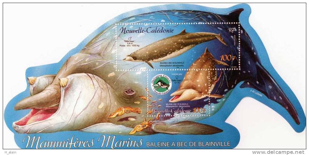 Baleine à Bec De Blainville - Unused Stamps