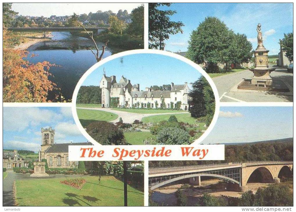 Britain - United Kingdom - The Speyside Way - Used Postcard [P2235] - Banffshire