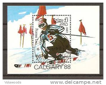 Laos - Foglietto Usato: Giochi Olimpici Di Calgary 1988 - Winter 1988: Calgary