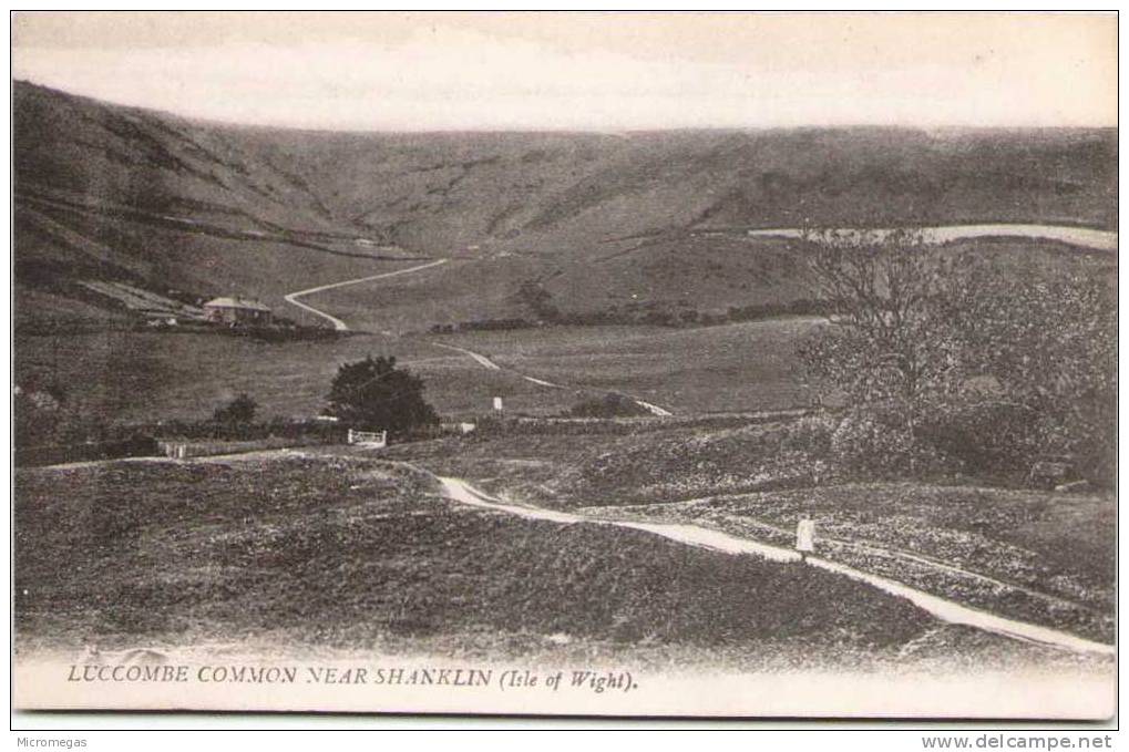 LUCCOMBE NEAR SHANKLIN (Isle Of Wight) - Otros & Sin Clasificación