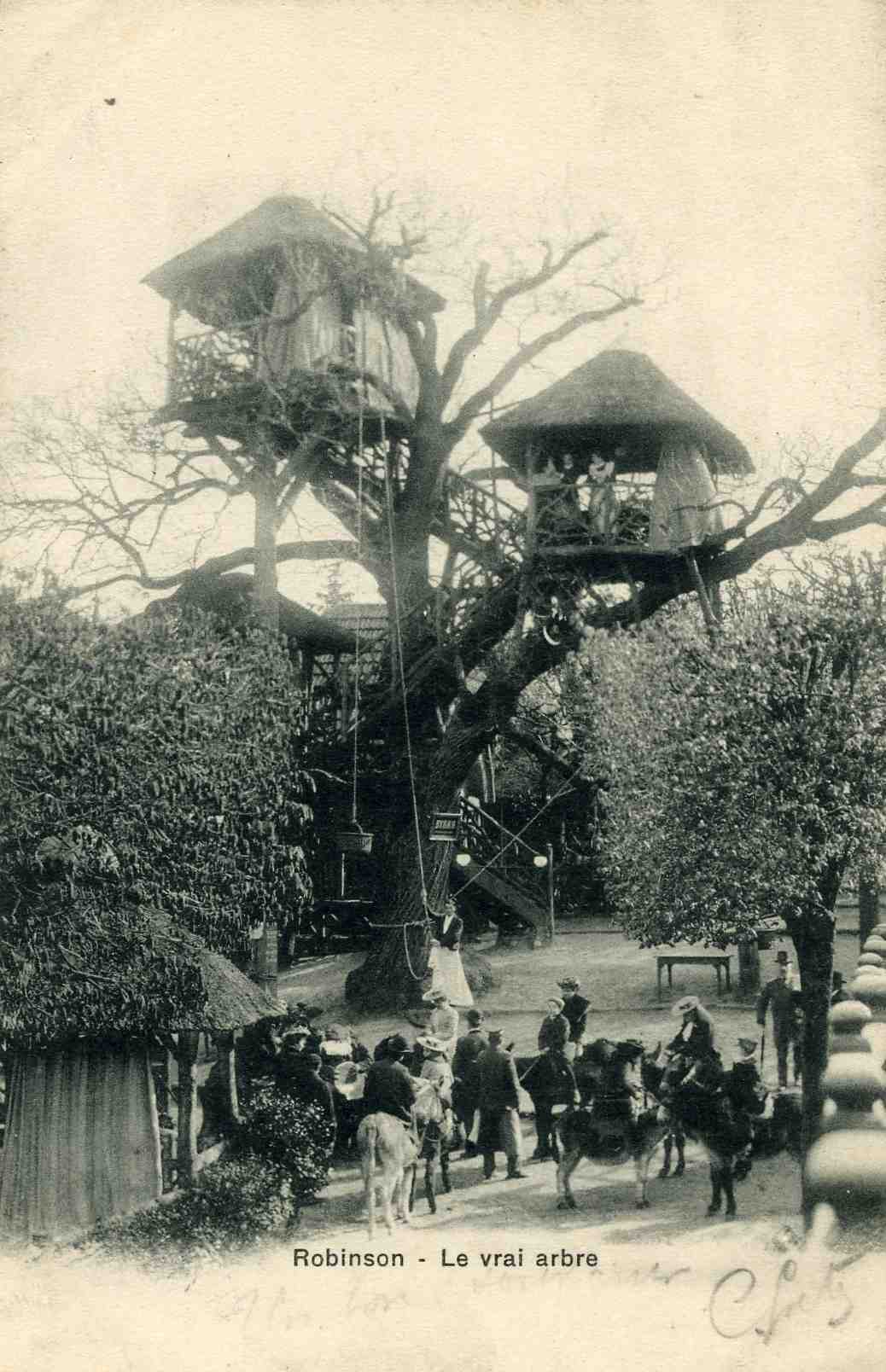 92 - ROBINSON - Superbe Animation Sous Le Vrai Arbre En 1903 - - Autres & Non Classés