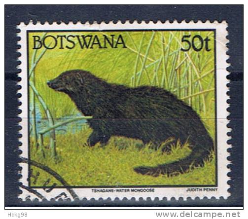 RB+ Botswana 1992 Mi 529 Temagane - Botswana (1966-...)