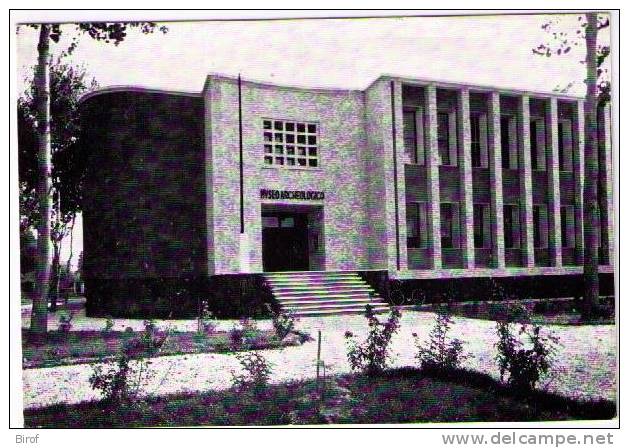 ADRIA - MUSEO ARCHEOLOGICO (RO) - Rovigo