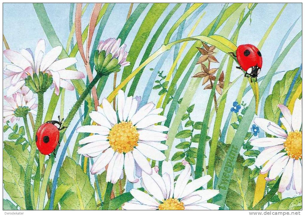 Annet Planten. Tweepunt. Lieveheersbeestje. Ladybug. Coccinelle. Marienkaefer. Nl.Comite Kinderpostzegels. Good . - Insects
