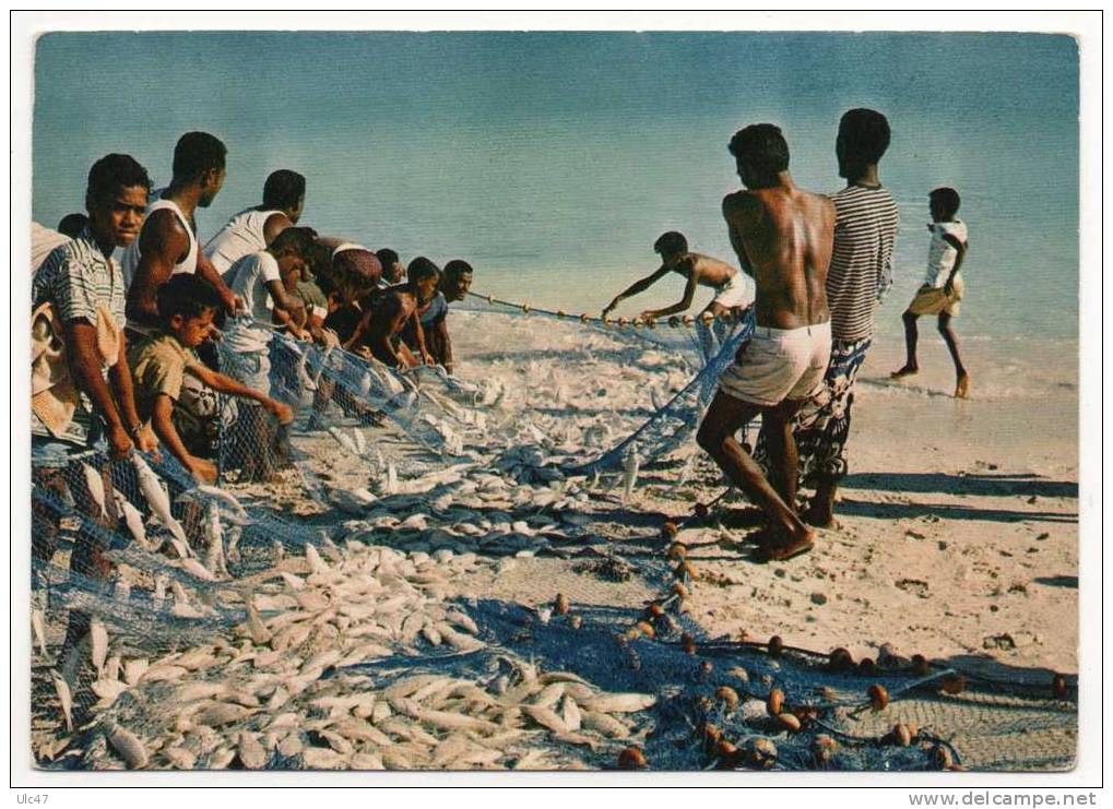 - NOUVELLE CALEDONIE. - Pêche à La Senne à Ouvéa - Net-fishing In Ouvéa - Scan Verso - - Nouvelle Calédonie