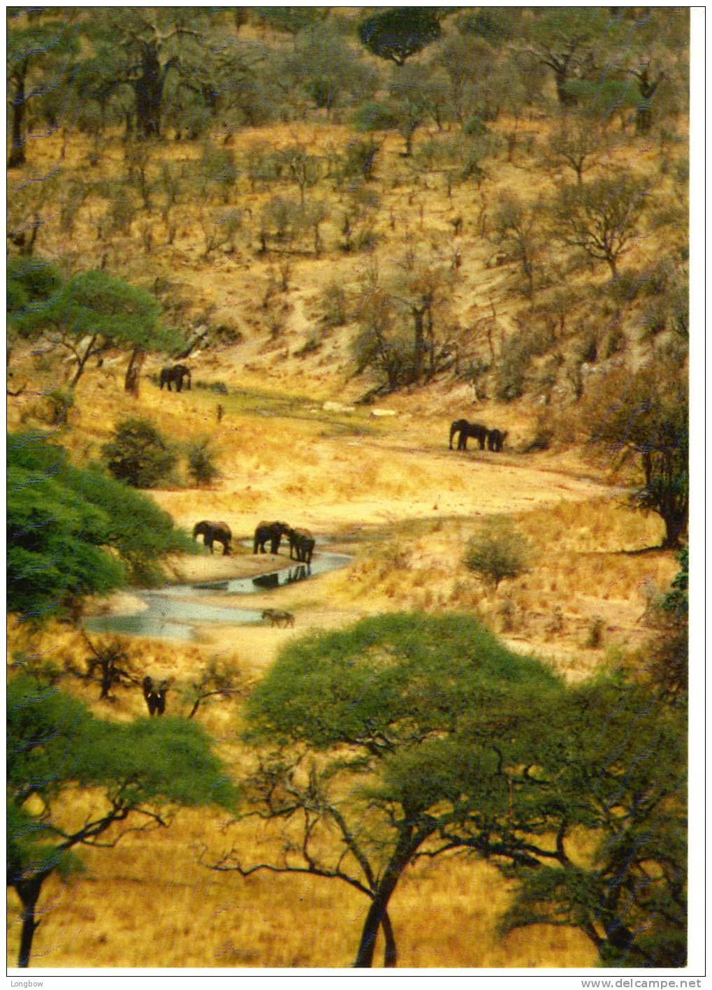 TANZANIA-NATIONAL PARK-VG - Tanzania