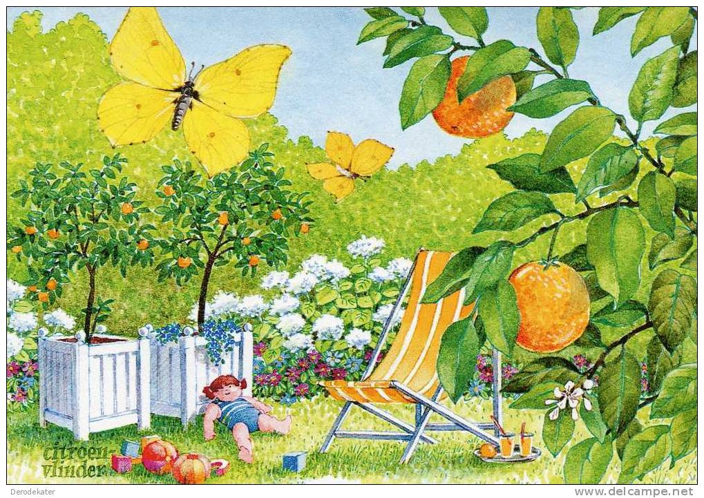 Annet Planten. Citroenvlinder. Gonepteryx Rhamni. Le Citron. Brimstone. Zitronenfalter. Obst. Fruits. Fruit. Papillon. - Butterflies