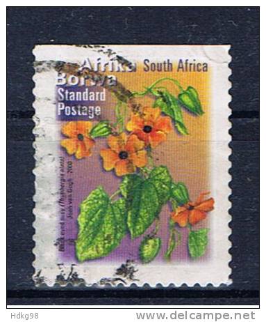 RSA+ Südafrika 2000 Mi 1321 BC Blütenzweig - Used Stamps