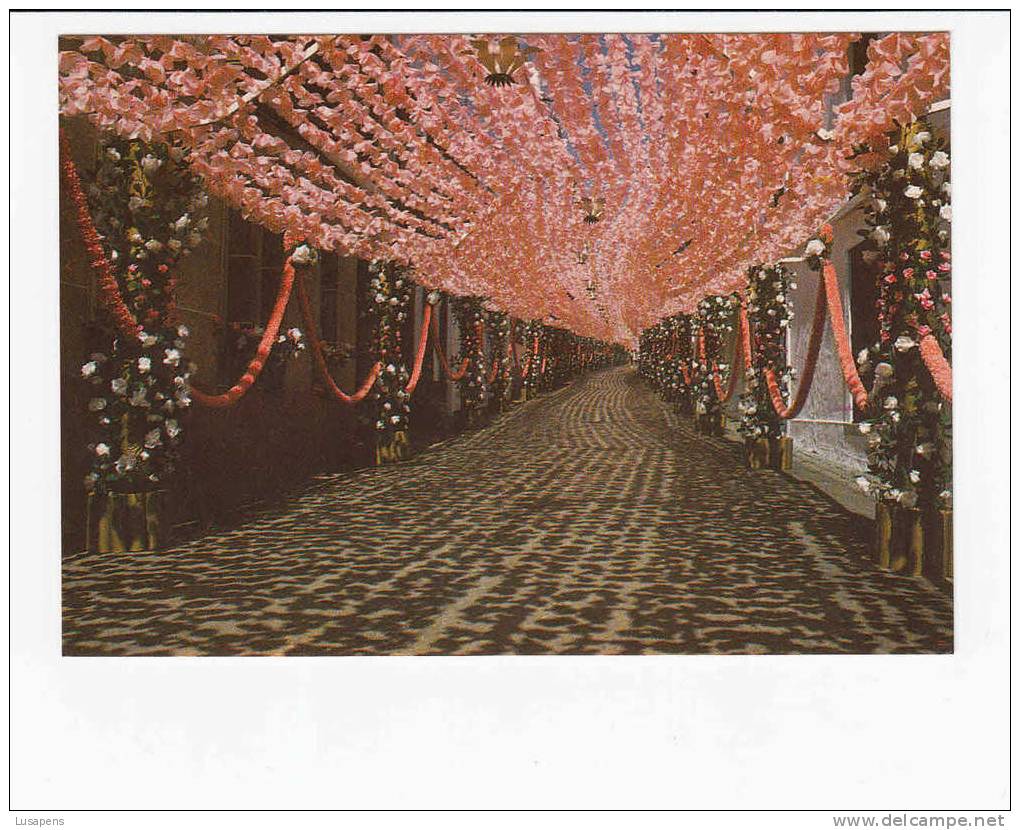 Portugal Cor 10538 – CAMPO MAIOR - FESTAS DO POVO - UMA RUA DECORADA - Portalegre