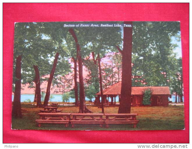 Reelfoot Lake TN   Section Of Picnic Area   ----------------------(ref112) - Sonstige & Ohne Zuordnung