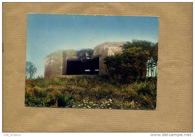 Audinghen - Wissant - Musée Prè Cap Gris-Nez - Wissant